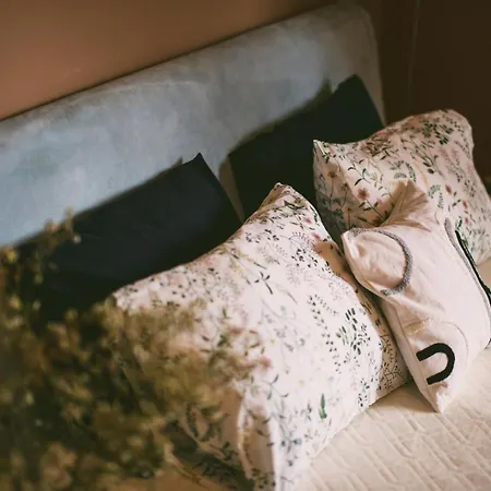 Boho Central Buda Close To Gellert Thermal Bath Daire