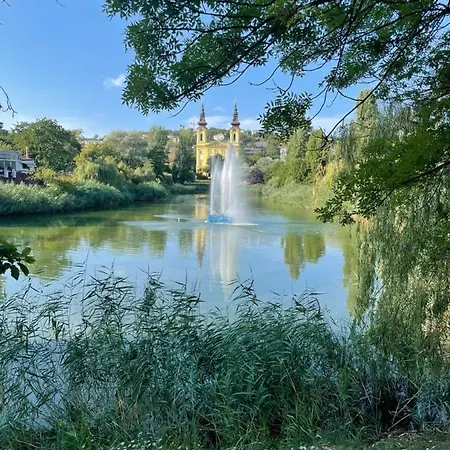 Boho Central Buda Close To Gellert Thermal Bath